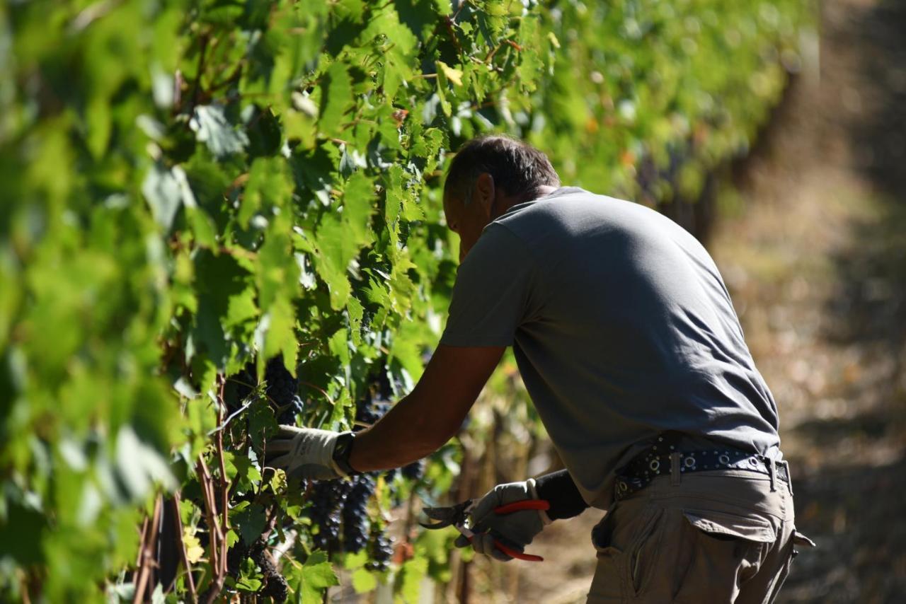 Il Palazzo - Agriturismo, Winery Arezzo Kültér fotó