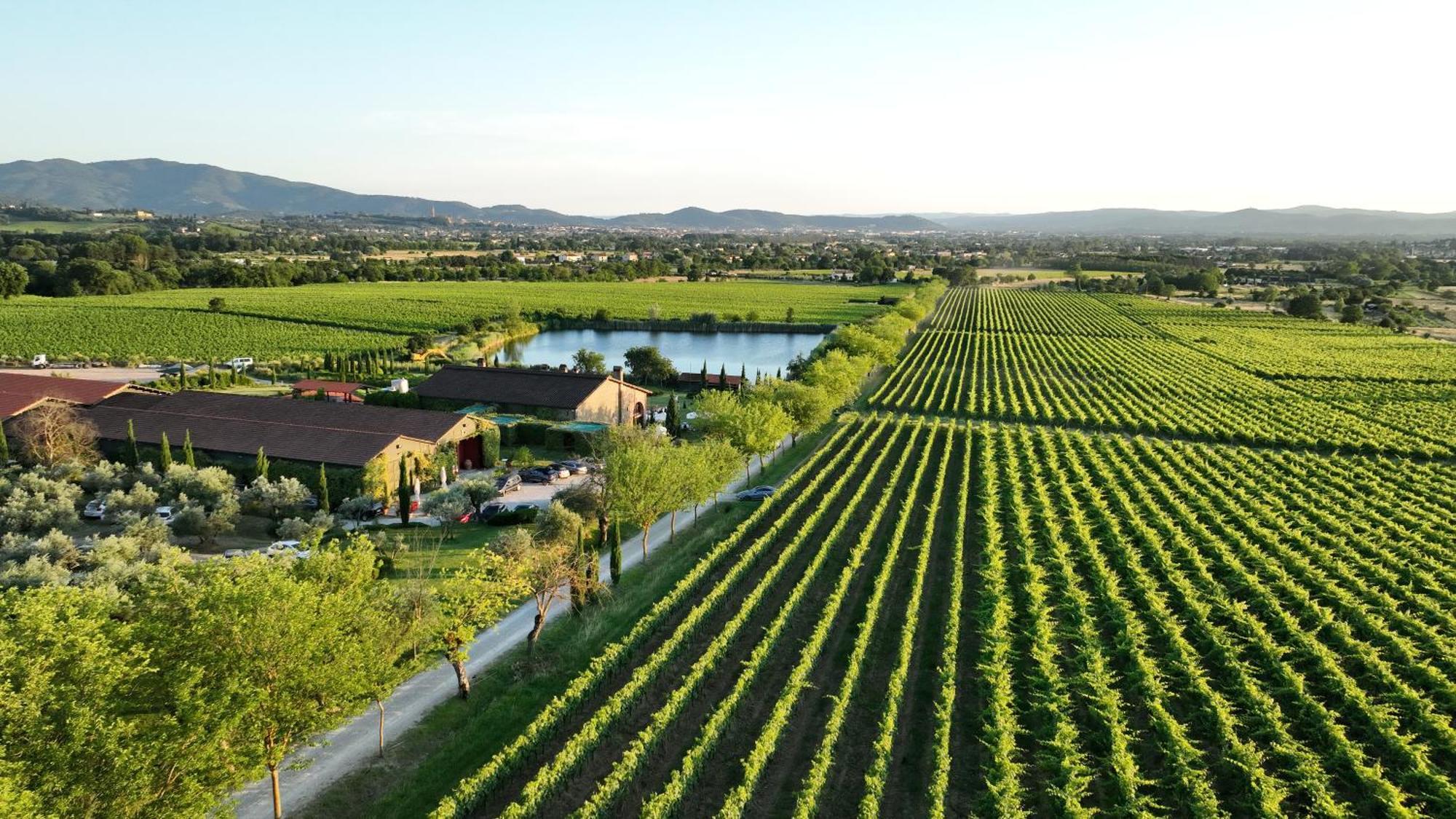 Il Palazzo - Agriturismo, Winery Arezzo Kültér fotó