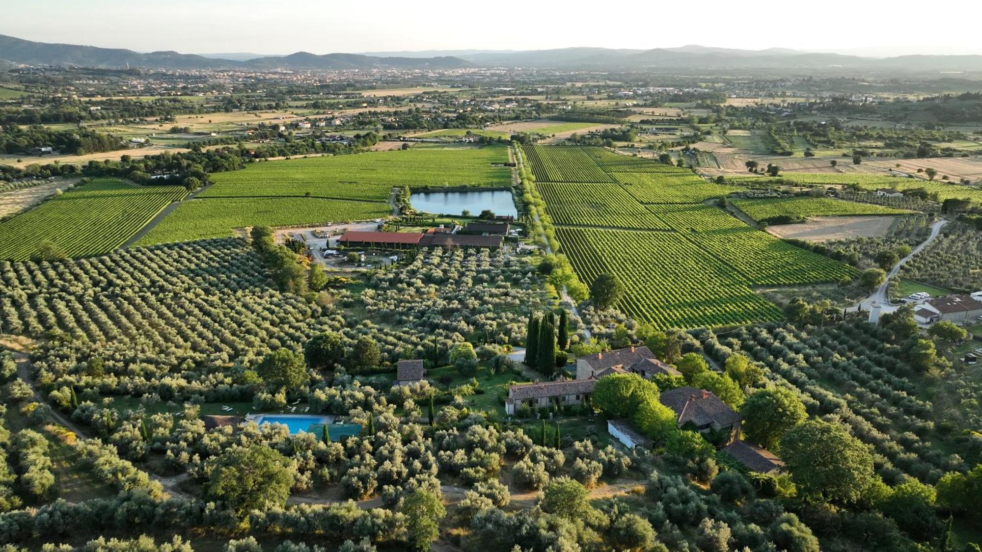 Il Palazzo - Agriturismo, Winery Arezzo Kültér fotó
